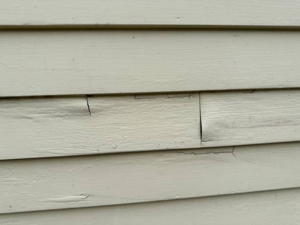 Best Custom Trim and Detailing for Siding  in Middlesex, NJ